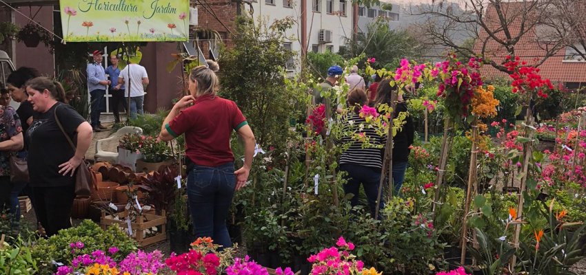 Feira no Mercado P&uacute;blico de Chapec&oacute; deve receber mais de seis mil pessoas