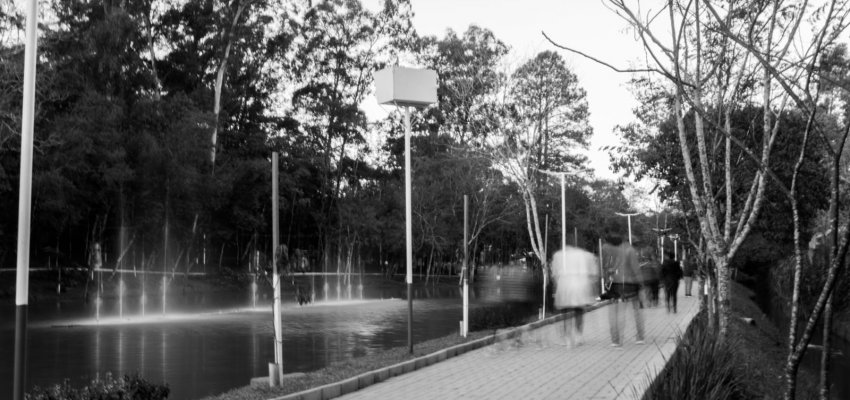 Fot&oacute;grafa de Chapec&oacute; selecionada para exposi&ccedil;&atilde;o da ONU com foto do novo Ecoparque