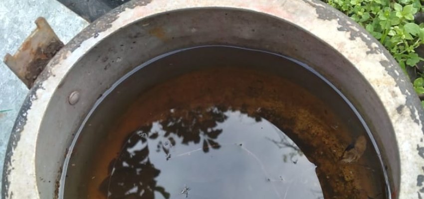 Mutir&atilde;o da dengue sai do Bormann e vai para o bairro Progresso