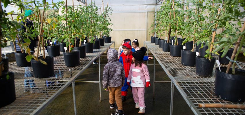 Crian&ccedil;as do CEIM Saberes da Inf&acirc;ncia visitam curso de agronomia