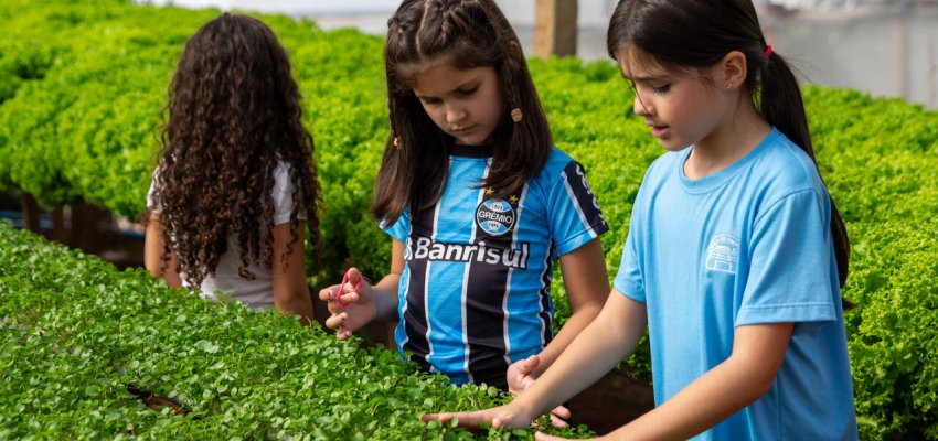 Turma de segundo ano da EBM S&atilde;o Crist&oacute;v&atilde;o aprende sobre cultivo de verduras hidrop&ocirc;nicas