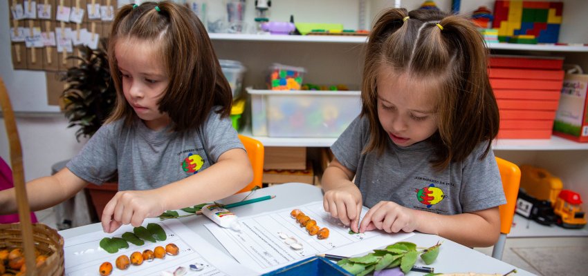 Crian&ccedil;as do CEIM Saberes da inf&acirc;ncia aprendem sobre n&uacute;meros e quantidades usando a natureza