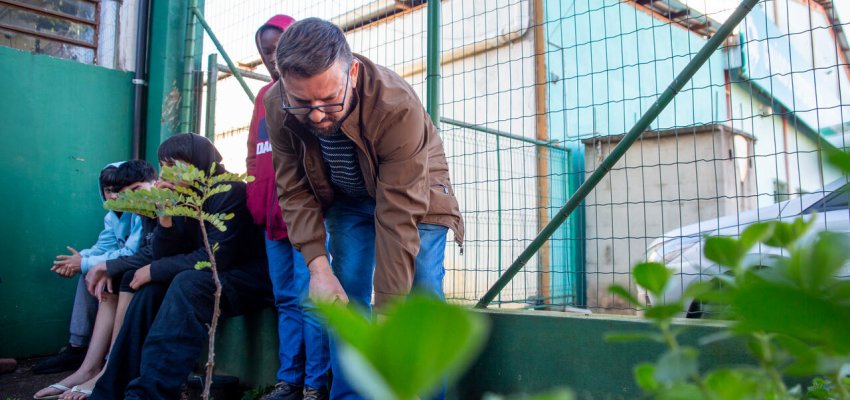 Estudantes do 7º ano plantam mudas de Pau-Brasil na EBM Jardim do Lago