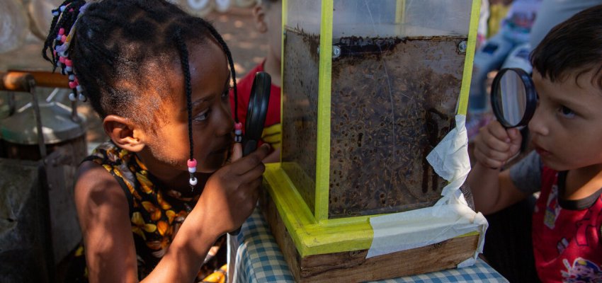 A descoberta das abelhas encanta crian&ccedil;as da EPC Cyro Sosnosky