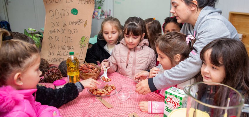 Do pinheiro &agrave; cozinha: pinh&atilde;o vira tema de pesquisa e receita no CEIM Pequenos Her&oacute;is