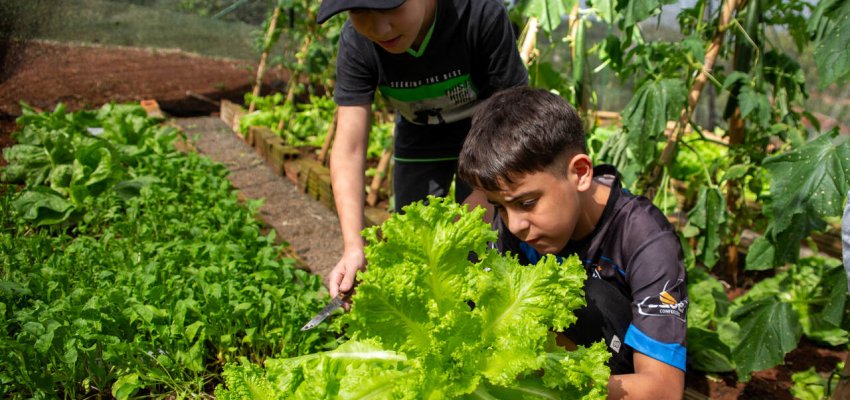 EBM Linha Campinas desenvolve projeto sobre alimenta&ccedil;&atilde;o saud&aacute;vel e cria horta junto com os alunos