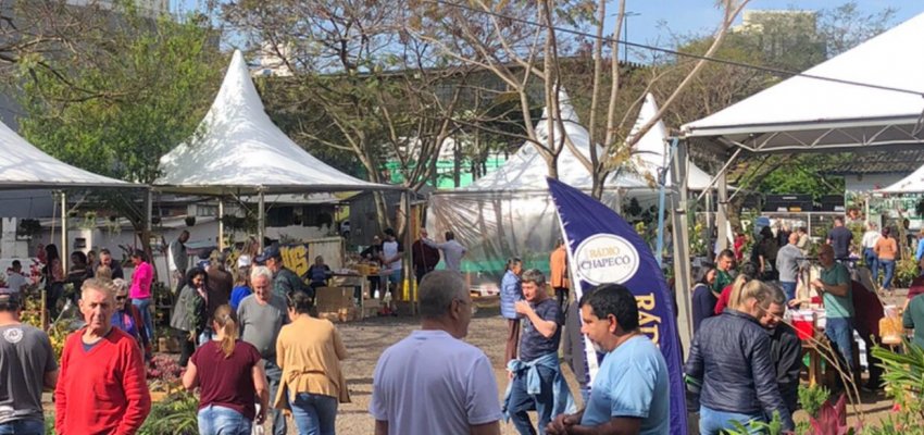 Feira no Mercado P&uacute;blico recebeu oito mil pessoas e faturou R$ 600 mil