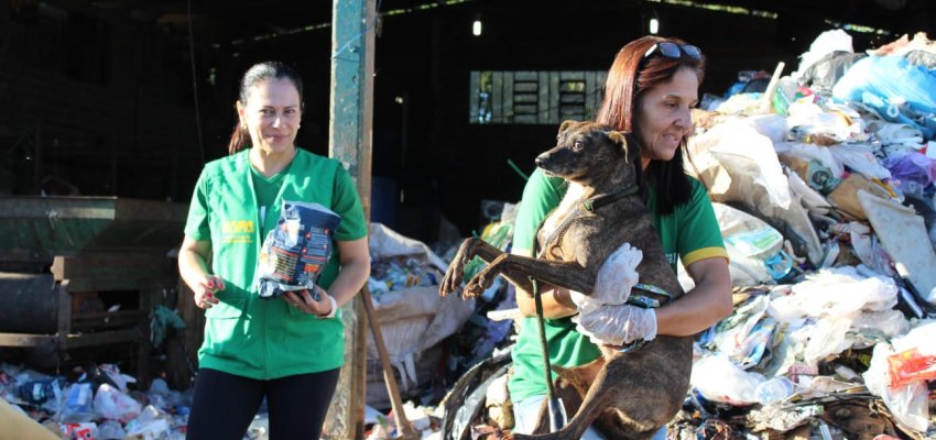 NAPA realiza busca ativa de animais para castra&ccedil;&atilde;o