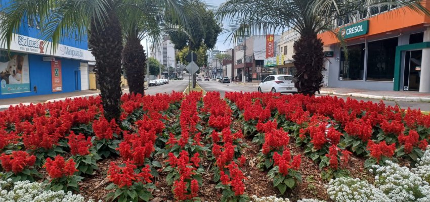 Horto Municipal embeleza 50 rotat&oacute;rias e trevos de Chapec&oacute;