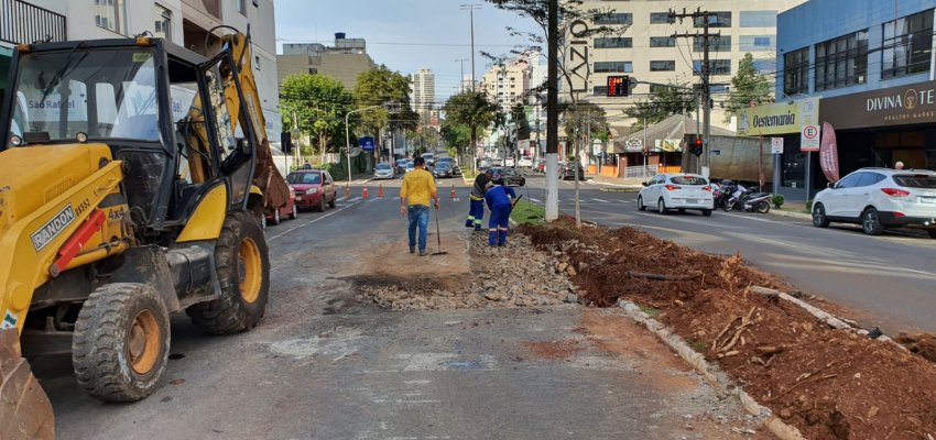 Secretaria de Infraestrutura arruma asfalto danificado por paineiras