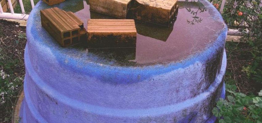 Mutir&atilde;o da Dengue elimina 2,9 mil criadouros no Bairro Universit&aacute;rio