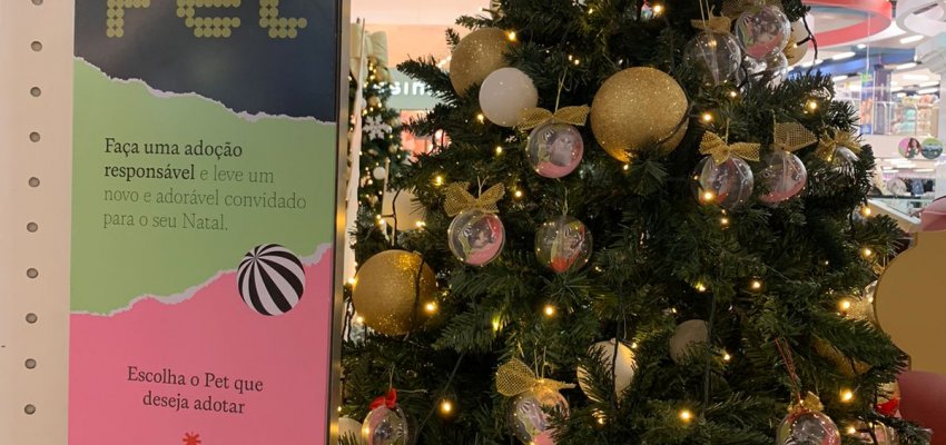 NAPA incentiva ado&ccedil;&atilde;o em projeto da &Aacute;rvore PET, no shopping