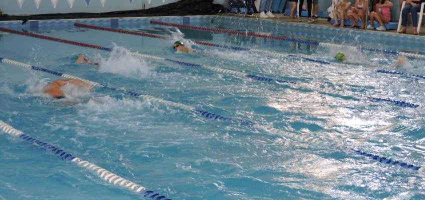 Festival Atleta do Futuro re&uacute;ne 77 nadadores