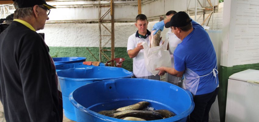 Definidos dias e valores da Feira do Peixe 2023