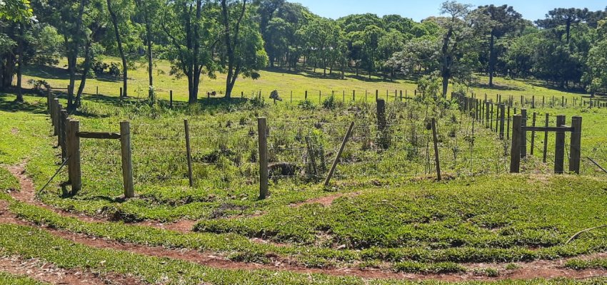 Prefeitura faz ação de proteção de nascentes