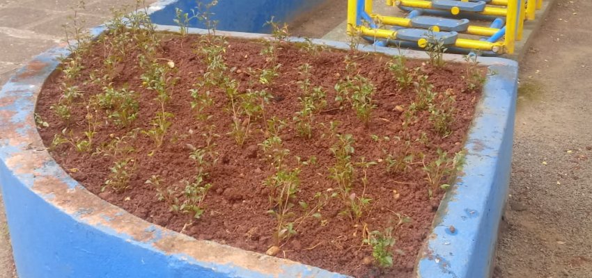 Cronograma semanal de a&ccedil;&otilde;es de infraestrutura nos Bairros, Interior e Escolas do Munic&iacute;pio