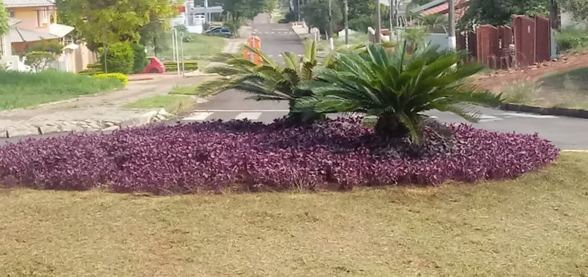 Cronograma semanal de ações de infraestrutura nos Bairros, Interior e Escolas do Município