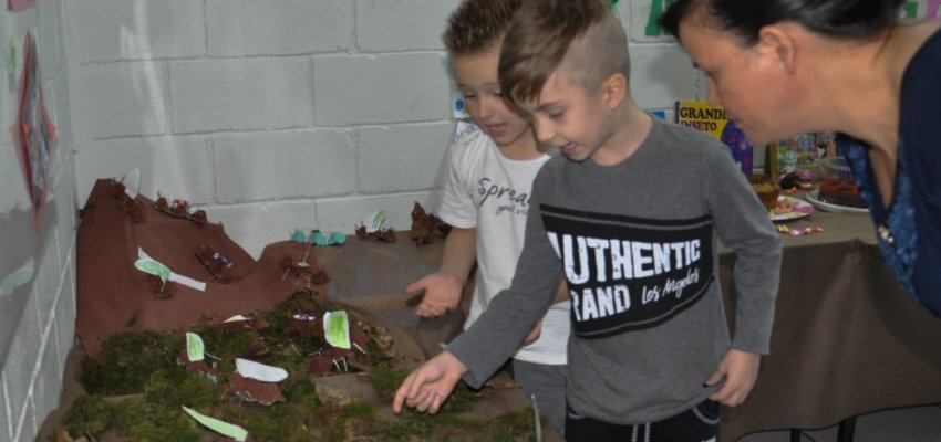 Crian&ccedil;as aprendem mais sobre os animais