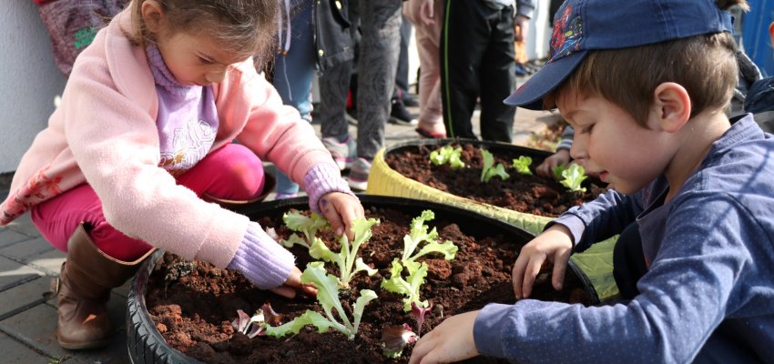 Projeto trabalha atitudes conscientes com as crianças