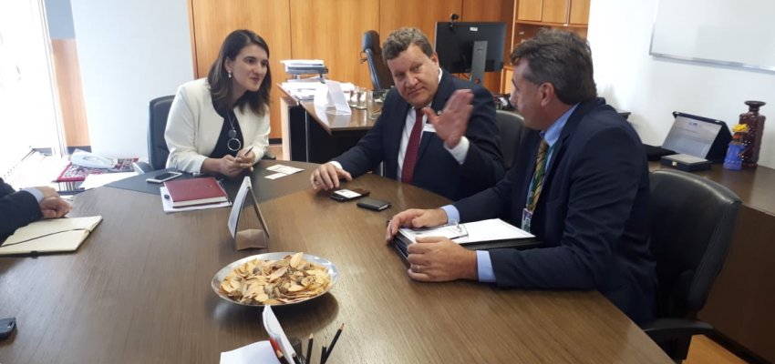 Prefeito Buligon cumpre agenda em Bras&iacute;lia