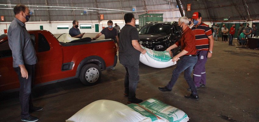 Agricultura distribui semente de aveia para os produtores