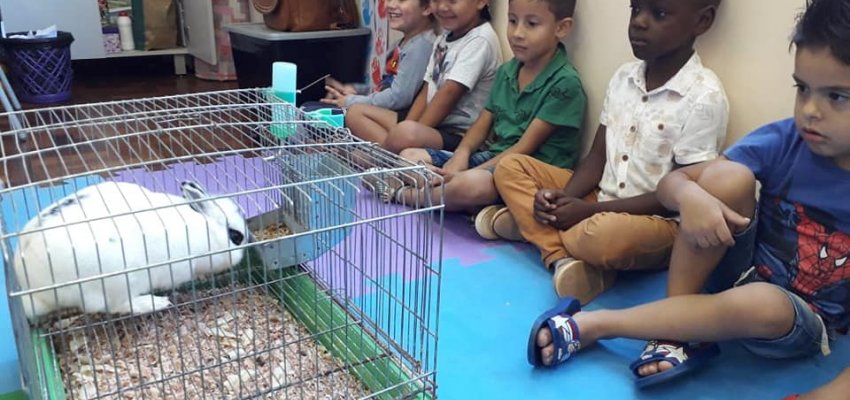 Crianças aprendem sobre o mundo animal