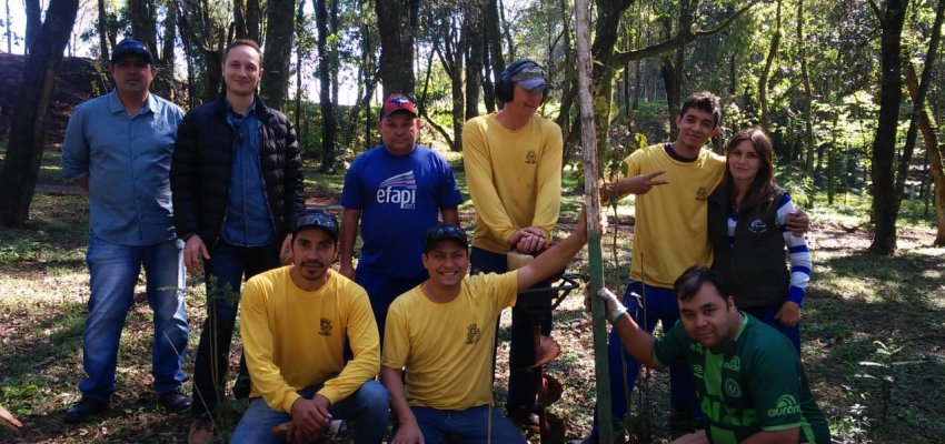 Administra&ccedil;&atilde;o realiza plantio de &aacute;rvores no Complexo Esportivo Verd&atilde;o