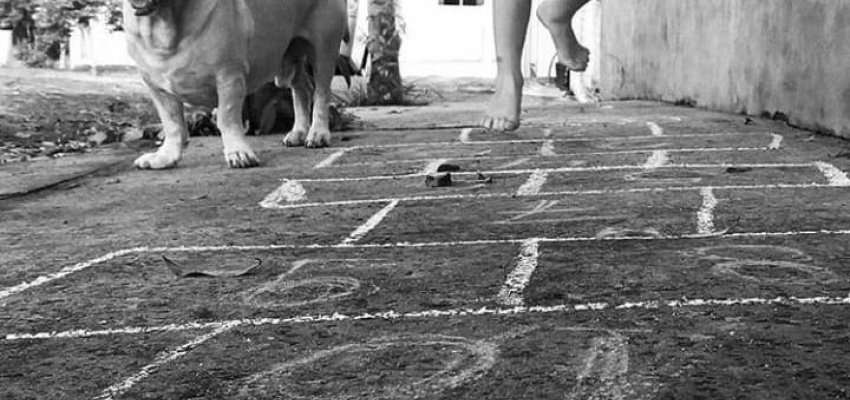 F&eacute;rias V: Cuidados com as mordidas de c&atilde;es