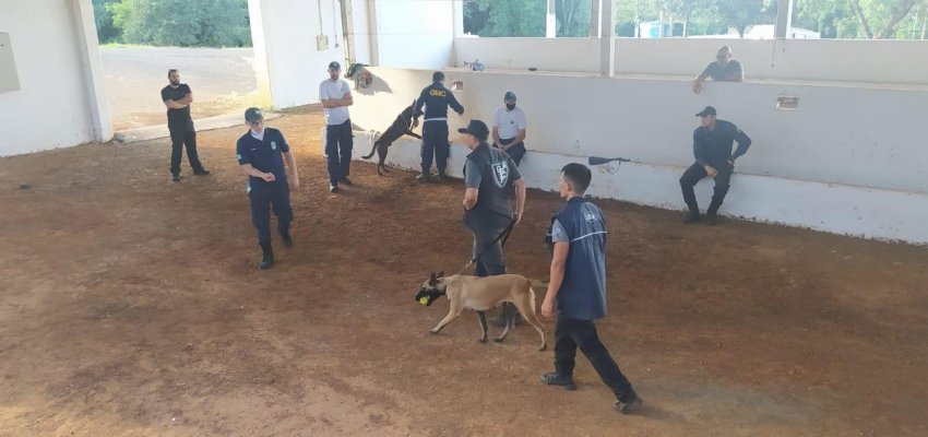 Guarda Municipal conclui curso de cinotecnia