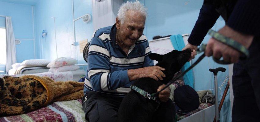 Guarda Municipal inicia projeto de Cinoterapia no Centro de Convivência do Idoso