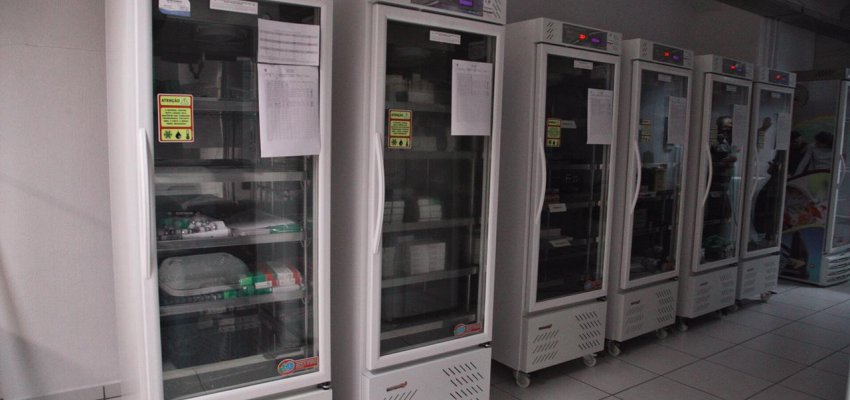 Chapec&oacute; recebe vacinas Covid baby, pedi&aacute;trica e refor&ccedil;o a partir de tr&ecirc;s anos