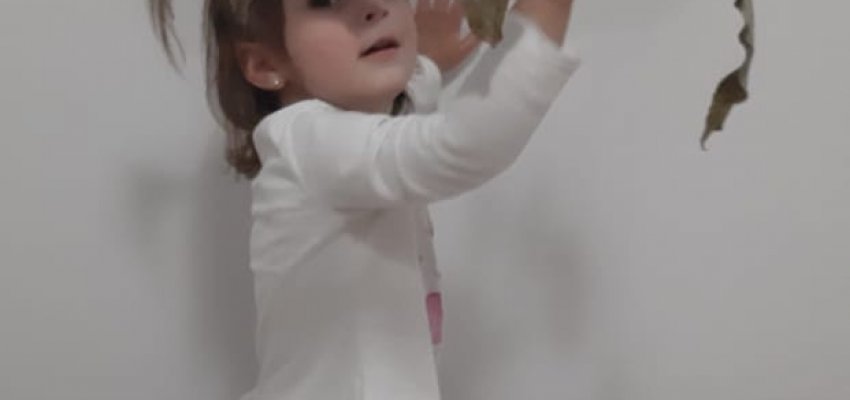 CEIM do Com&eacute;rcio realiza projeto sobre os 103 anos de Chapec&oacute;