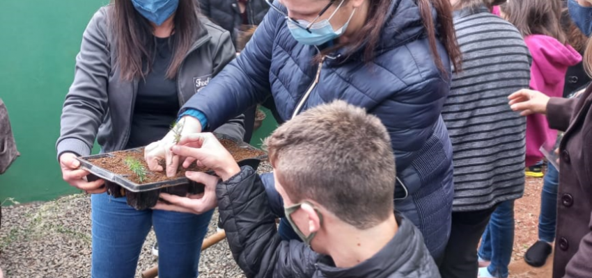 EBM Jardim do Lago cultiva plantas medicinais e alimentícias