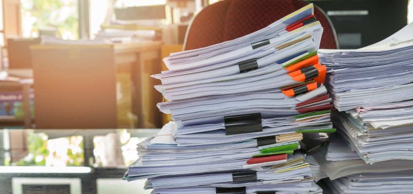 Chapecó avança na modernização com o atendimento digital na Diretoria de Meio Ambiente