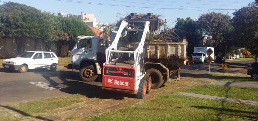 Período de coleta de galhos inicia no  fim de abril 