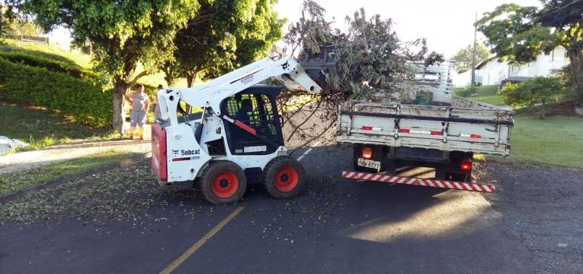 Período de coleta de galhos inicia nesta segunda em Chapecó