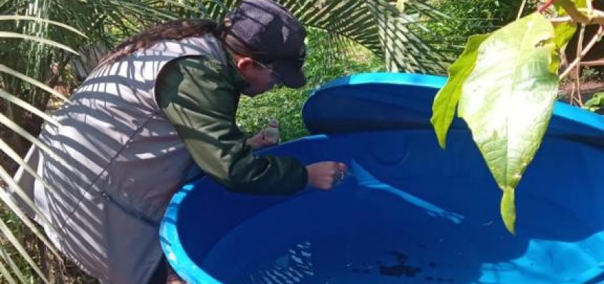 Saúde fará mutirão de combate à dengue e cadastramentos neste sábado