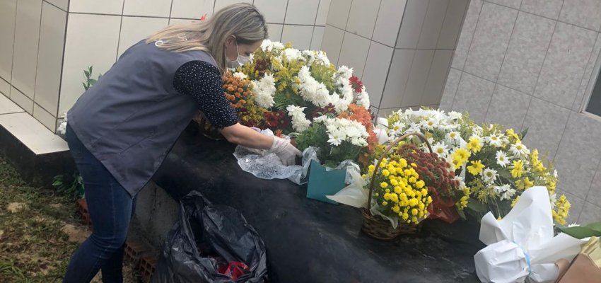 Ações contra a dengue nos cemitérios e no bairro SAIC