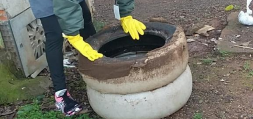 Mutirão da dengue realizou 683 visitas