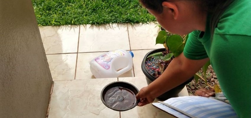 Combate ao Aedes Aegypti deve ser frequente