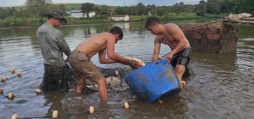 Expectativa de comercialização de 40 toneladas na Feira do Peixe Vivo