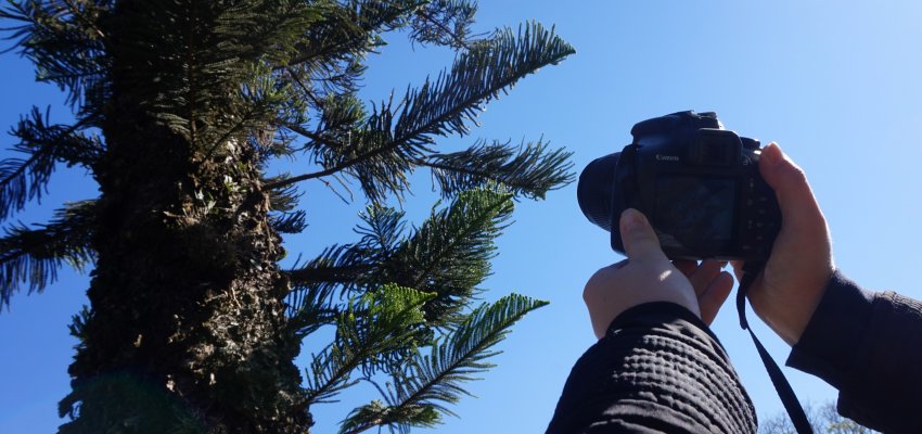 Escola de Artes oferece Oficina de Fotografia