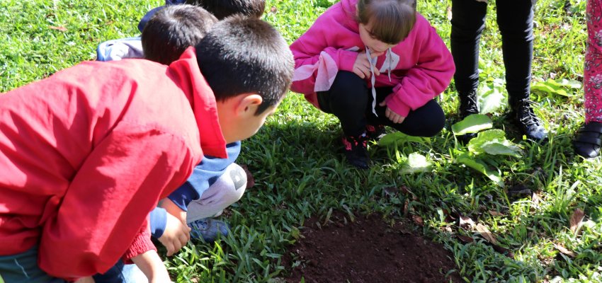 Escola Agropecu&aacute;ria promove VII Semana do Meio Ambiente