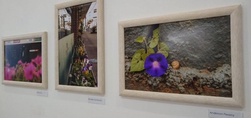 Exposi&ccedil;&atilde;o fotogr&aacute;fica na Escola de Artes