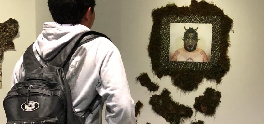  Exposi&ccedil;&otilde;es selecionadas para as Galerias de Arte de Chapec&oacute; 