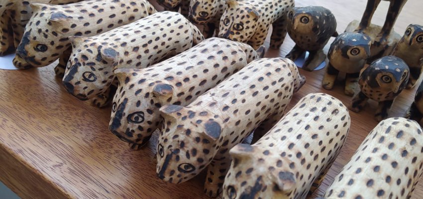 Domingo tem Feira de Artesanato no Ecoparque