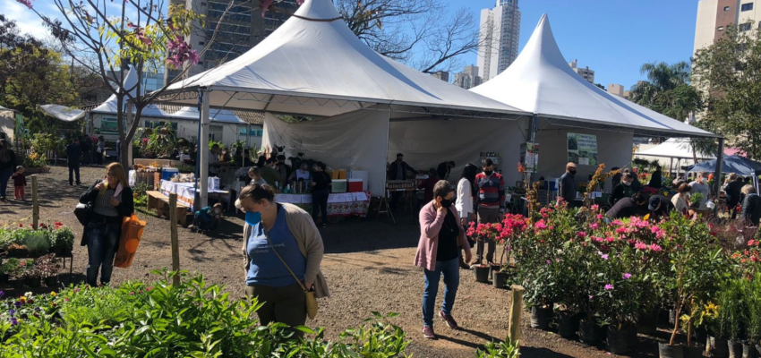 Mercado P&uacute;blico ter&aacute; feira de mudas, flores, produtos coloniais e artesanato