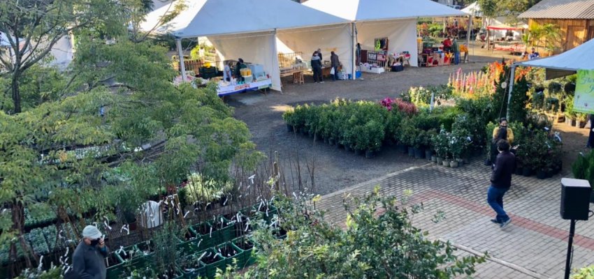 Cerca de sete mil pessoas são esperadas na Feira de Mudas Frutíferas, Flores e Produtos Coloniais
