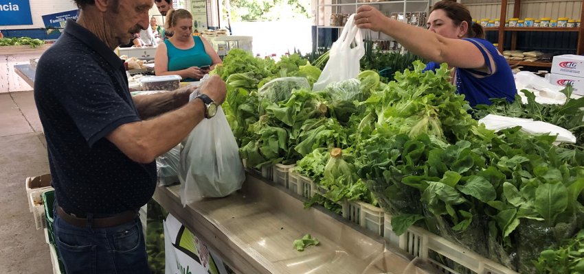 Decreto libera feiras livres da agricultura familiar