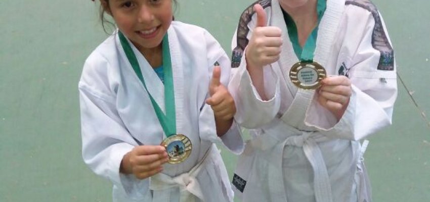 Festival de Karate em Chapec&oacute;